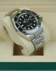 Rolex Sea-Dweller 126600 lug case lower left