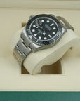 Rolex Yacht-Master Titanium 226627 case lug upper left