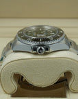 Rolex Sea-Dweller 126600 lug case crown