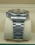 Rolex Sea-Dweller 126600 lug case bracelet