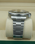 Rolex Sea-Dweller 126600 lug case bracelet