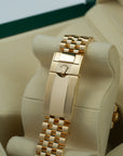 Rolex GMT-Master II 126718GRNR case lug bracelet clasp