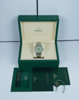 Rolex Oyster Perpetual Pistachio 134300 41mm full set