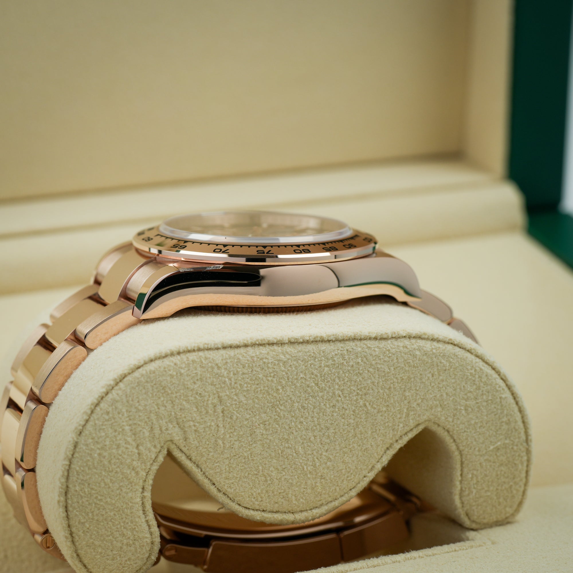 Rolex Daytona 126505 case lug bracelet