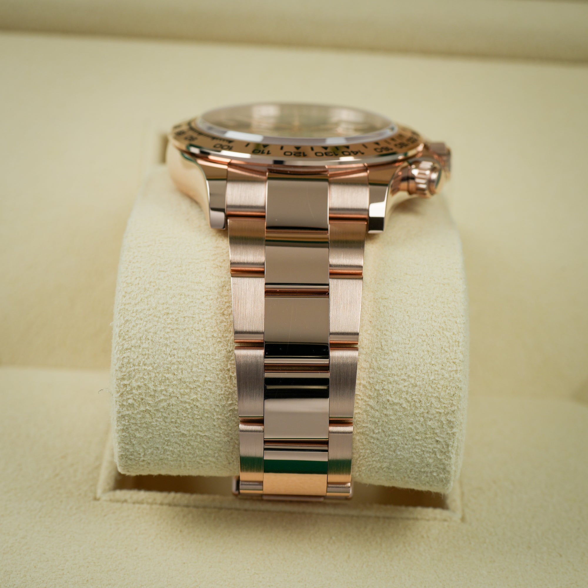Rolex Daytona 126505 case lug bracelet